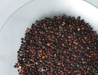 REF Natuurlijke ingrediënten Quinoa